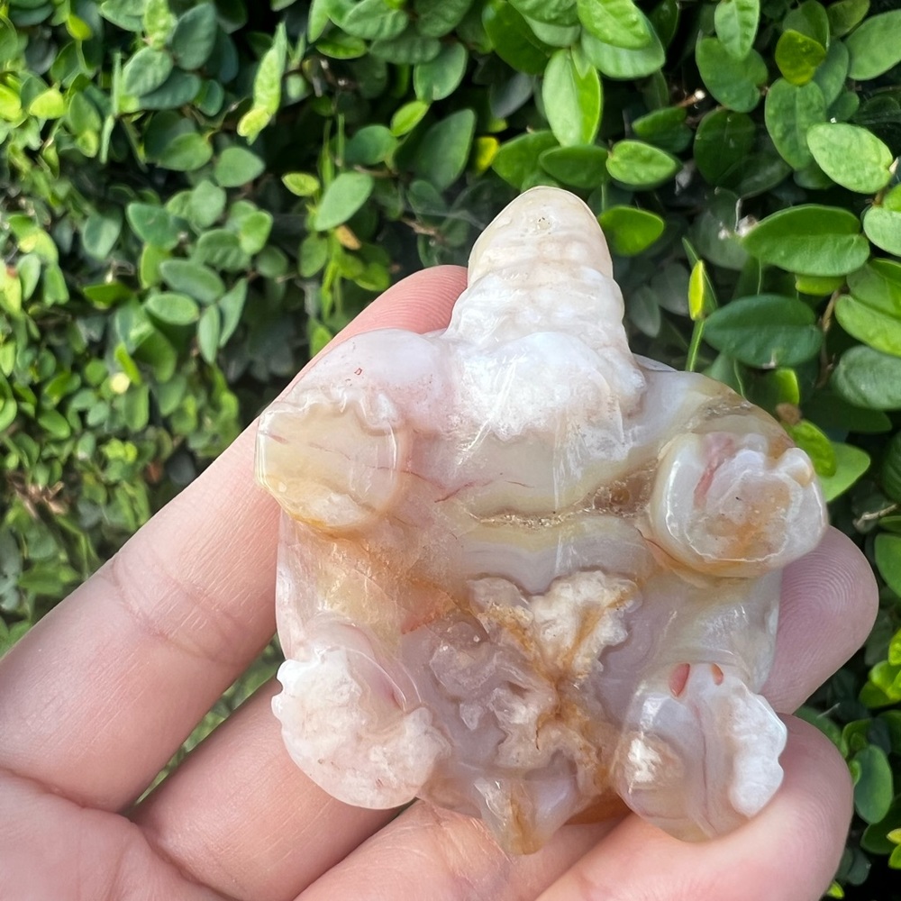 Creamy Orange Pink Flower Agate Turtle Carving - Picture 5 of 6